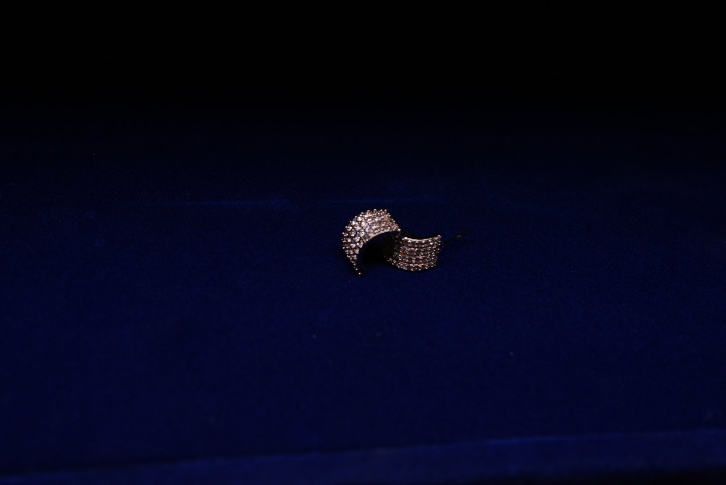 Gold Hoop Earring