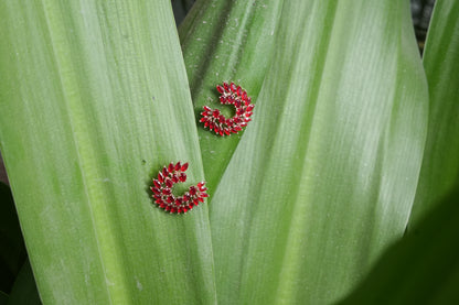 Red Sparkling Leaf Stud